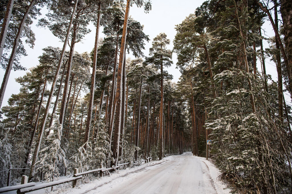 Kallahdenniemi, Vuosaari